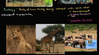 Ecology introduction | Ecology | Khan Academy Hebrew
