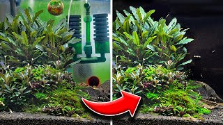 5 Easy Tips for Making a Good Aquarium Even Better