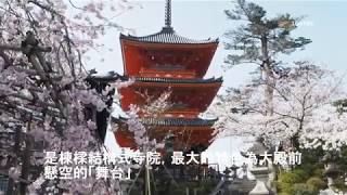 京都清水寺 – 京都櫻花祭Kiyomizu Temple, Kyoto