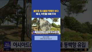 골프장 토사물로 탁해진 바다.. 해녀 어민들 피해 우려 #부산mbc뉴스 (2023-08-28,월)