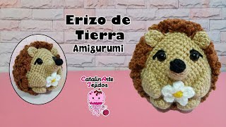 Erizo amigurumi | CatalinArte Tejidos