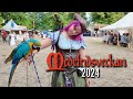 Medeltidsveckan 2024 - Sweden's BIGGEST Medieval Festival