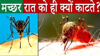 क्या आपको पता है मच्छर हमेशा रात को ही क्यों काटते है? | Why Mosquito Bites | Amazing Facts | Facts