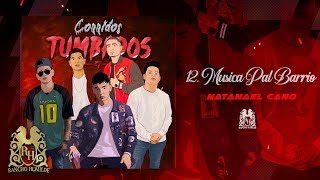 12. Natanael Cano - Música Pal Barrio  [Official Audio]