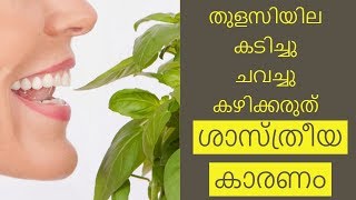 തുളസിയില കടിക്കല്ലേ വിവരം അറിയും||Health Tips Malayalam