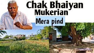 Chak Bhaiyan / Mukerian / Hoshiarpur / Sada ping dekha do special vlog