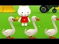 🐱 Musti English | Sun And Shadow | Cartoons for Kids