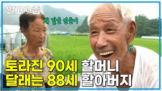 함께한 시간이 73년! ! 화난 90세 아내를 달래주는 88세 할아버지의 연륜이 담긴 특급 필살기│너무 아름다운 노부부의 삶│장수가족 건강의 비밀│알고e즘