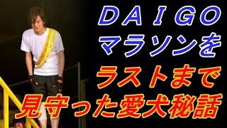 【秘話】DAIGOのマラソンを見守った愛犬！悲しくて暖かくなる話【話題】