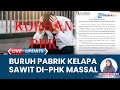 664 Karyawan di PHK Massal Pabrik Kelapa Sawit Milik Aon Bangka Tengah, Imbas 2 Rekening Diblokir