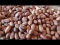 How to make Crispy Nuts | soaked,  roasted peanuts