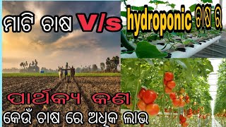 soil farming v/s Hydroponic farming ।ମାଟି ଚାଷ v/s hydroponic ଚାଷ ମଧ୍ଯୟ ରେ ପାର୍ଥକ୍ଯ କଣ?