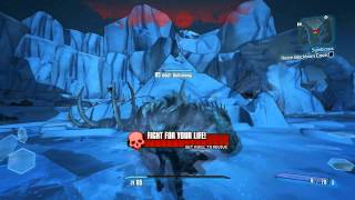 The Characters of Borderlands 2! Action Skill / Special Attack - Max Settings 1080p