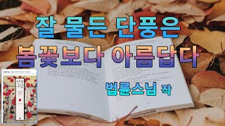 잘 물든 단풍은 봄꽃보다 아름답다/법륜스님/\