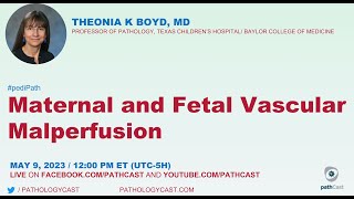 #PEDIPATH Maternal and Fetal Vascular Malperfusion