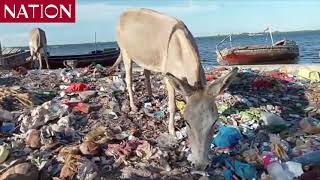 Call for restoration of Lamu old town to attract tourists