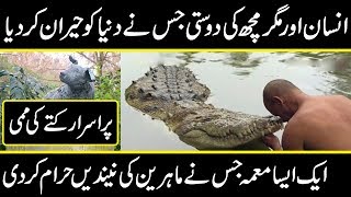 Friendship crocodile with the person. The only case in the world || urdu cover