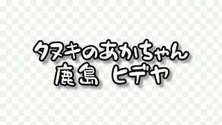 🎶タヌキのあかちゃん