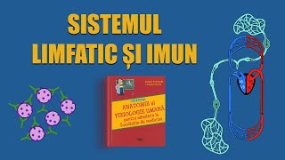 C16. Sistemul limfatic și imun | LIVE BARRON'S ADMITERE MEDICINĂ