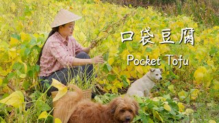 Pocket tofu: springy outside, silky inside—Baoshan’s “bursting tofu pearls.”【滇西小哥】