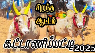 சிறப்பாக நடைபெற்ற கட்டாணிப்பட்டி  மஞ்சுவிரட்டு 2025 kattanipatti manjuvirattu