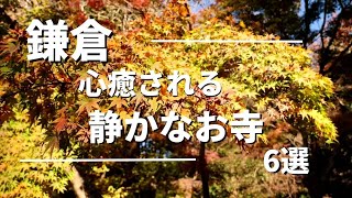 【鎌倉の絵になる紅葉】観光　秋の鎌倉　絵になる紅葉を散策