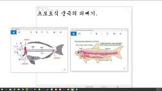 츠모토식 궁극의 피빼기의 개요