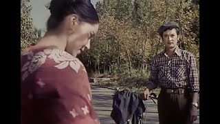 Bexit naxshisi - Uyghur kino بەخىت ناخشىسى