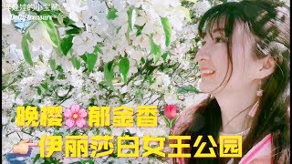 伊丽莎白女王公园的美景｜樱花攻略 | 温哥华旅游景点推荐｜春天来看晚樱、郁金香和各花团锦簇的美景｜【加拿大旅游篇】2019vlog | Sakura Tulip