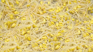 Tuna bean sprouts side dish recipe.