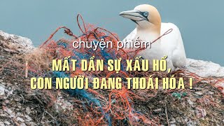 Mất dần sự xấu hổ, con người đang thoái hóa ! | Chuyện đời Xưa nay