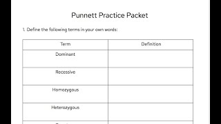 Punnett Square Practice Worksheet Instructions