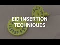 EID insertion techniques