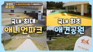 최고의 반려시설! 국내 최초 애견공원, 국내 최대 애니언파크 ≪달려라 울강이 8회 full≫