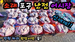 소래포구 난전 어시장. 긴급속보 자연산 수산물 몽땅만원!꼭봐야하는영상! Korean fish market channel.