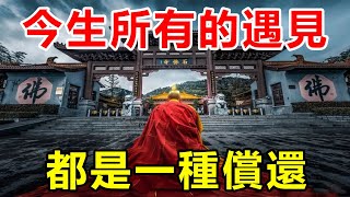 如果你相信因果！佛說：今生所有的遇見，都是一種償還，愛護生命，善惡皆有報 | 好東西 佛說