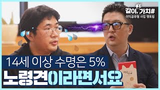 14세 이상 수명은 5% 노령견이라면서요 [같이, 가치#9]