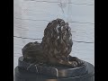 guardian lion bronze metal statue sculpture marble base signed original 9