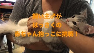 【子猫】飼い主♂がはっさくの赤ちゃん抱っこに挑戦！【サイベリアン】