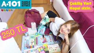 OKULA DÖNÜŞ 2019: A-101 KIRTASİYE ALIŞVERİŞİM!!! (ÇEKİLİŞ/back to school) -Elif AY