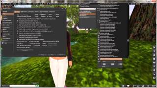 Firestorm Tutorial - Custom Quick Preferences