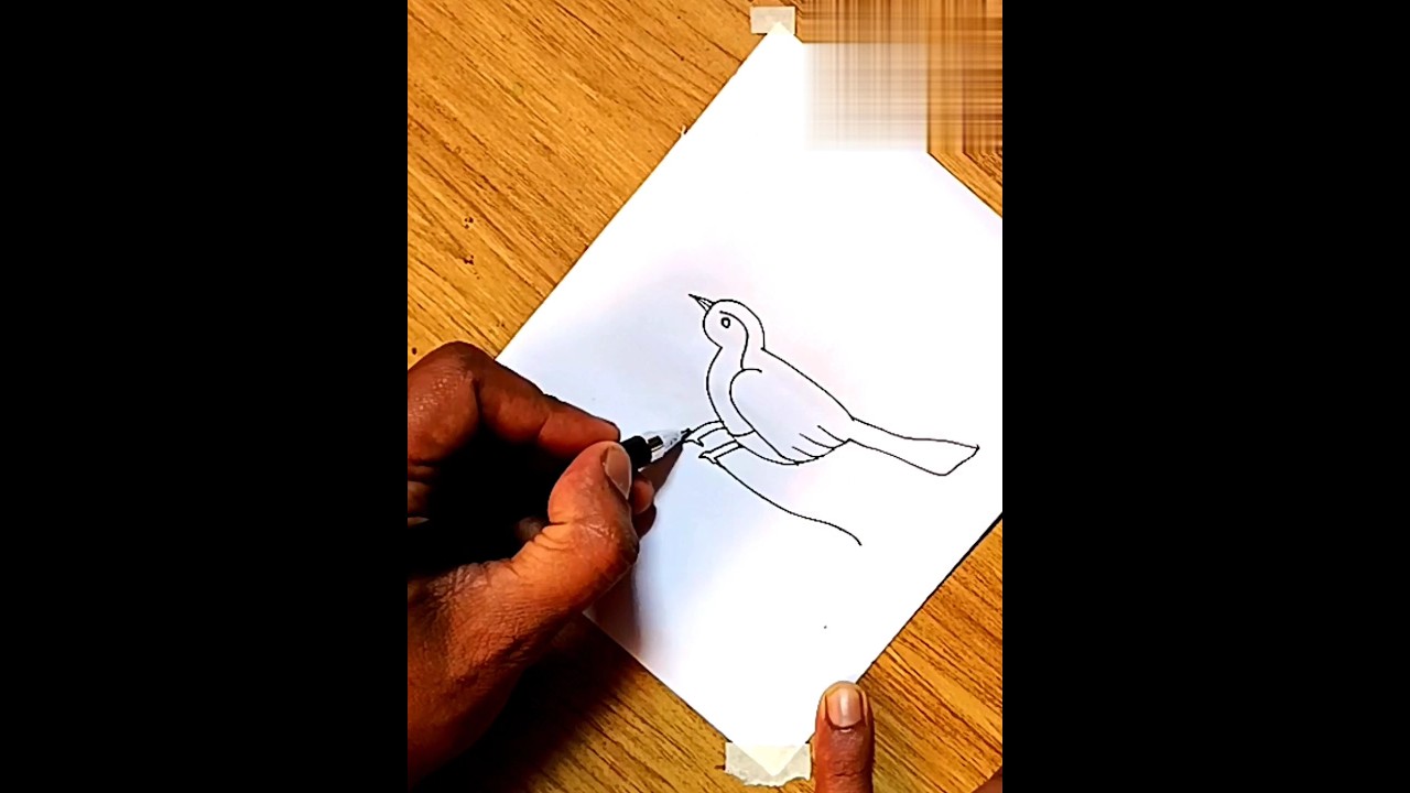 Sparrow Easy Art Tutorial Easy Sparrow Art Shorts Youtubeshorts Sparrow Easy Art Tutorial Easy Sparrow Art Shorts Youtubeshorts