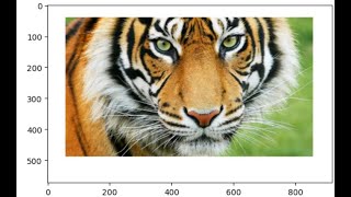 Starting With Images in Numpy-Python