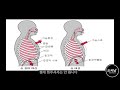 발성 테크닉 제발... 배 밀어서 복식 호흡 하지 마세요 아나토미지 발성