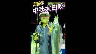 『張小黑上船釣』傳說中秋前後的白帶又大又肥！？