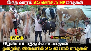 பண்ணைகளுக்கு ஏற்ற அதிக கறவை கொண்ட மாடுகள்|இந்த வாரம் 2-டம் ஈத்துலா 25 மாடுகள் Low budget milking cow