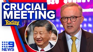 Prime Minister Albanese to meet China President Xi Jinping at G20 summit | 9 News Australia