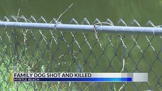 Missing dog found shot to death in Horry County pond, police report says