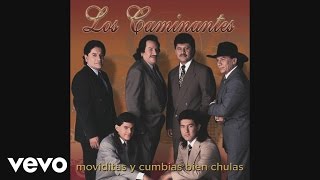 Los Caminantes - Cumbia del Sol (Cover Audio Video)
