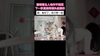 猫咪看主人动作不规范，下一秒直接再镜头前展示#萌宠 #funny #猫